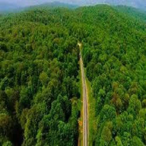  تو جای من نیستی نگو میفهممت تو حال من نیستی نگو میبخشمت